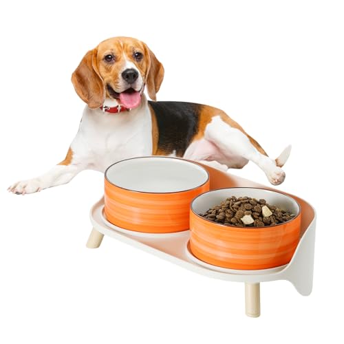 Hunde Napfset Hundenapf Set Erhöht - Doppelnapf Hund Keramik mit Spritzschutz Ständer - Bunte Spirals Hundenäpfe für Futter und Wasser - Ideal für Kleine bis Mittelgroße Hunde - 2 x 650 ml - Orange von PTOBER