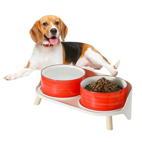 Hunde Napfset Hundenapf Set Erhöht - Doppelnapf Hund Keramik mit Spritzschutz Ständer - Bunte Spirals Hundenäpfe für Futter und Wasser - Ideal für Kleine bis Mittelgroße Hunde - 2 x 650 ml - Rot von PTOBER