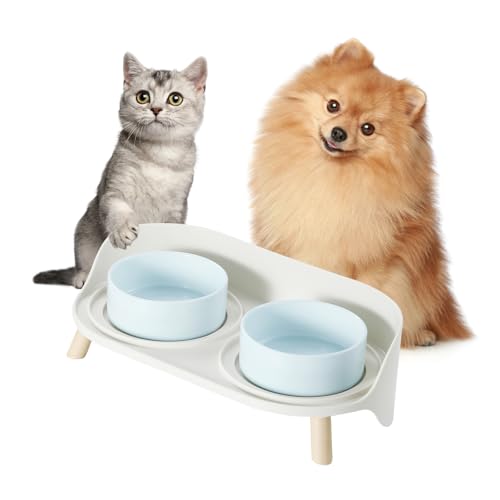 Hundenapf Set Erhöht Hunde Napfset - Doppel Fressnapf Hund Keramik mit Spritzschutz Ständer - Hundenäpfe 2er Set für Futter und Wasser - Futterstation für Kleine Hunde und Katzen - 2 x 300 ml - Blau von PTOBER