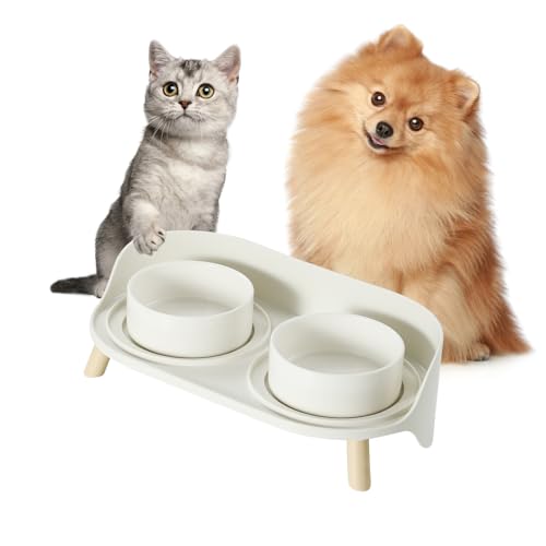 Hundenapf Set Erhöht Hunde Napfset - Doppel Fressnapf Hund Keramik mit Spritzschutz Ständer - Hundenäpfe 2er Set für Futter und Wasser - Futterstation für Kleine Hunde und Katzen - 2 x 300 ml - Weiß von PTOBER