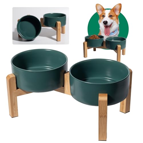 Hundenapf Set Erhöht Hunde Napfset - Doppel Napf Hund Keramik mit rutschfestem Ständer - Erhöhte Futterstation Hund 2er Set für Futter und Wasser - Ideal für kleine und mittelgroße Hunde - 2 x 850 ml von PTOBER