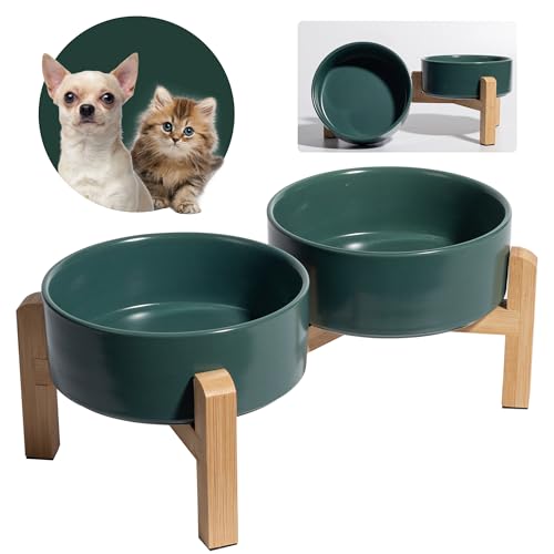 Hundenapf Set Erhöht Hunde Napfset - Doppel Napf Hund Keramik mit rutschfestem Ständer - Futterstation Hund - Hundenäpfe 2er Set für Futter und Wasser - Ideal für Kleine Hunde und Katzen - 2 x 480 ml von PTOBER