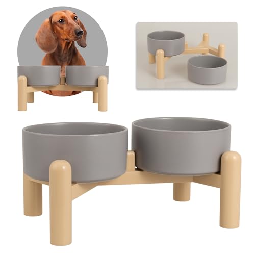 Hundenapf Set Erhöht Hunde Napfset - Doppelnapf Hund Keramik mit Rutschfestem Ständer - Futternapf Hund 2er Set für Futter und Wasser - Ideal für Kleine und Mittelgroße Hunde - 2 x 850 ml - Dunkelgrau von PTOBER