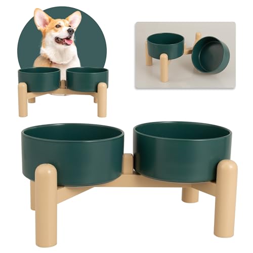 Hundenapf Set Erhöht Hunde Napfset - Doppelnapf Hund Keramik mit Rutschfestem Ständer - Futternapf Hund 2er Set für Futter und Wasser - Ideal für Kleine und Mittelgroße Hunde - 2 x 850 ml - Grün von PTOBER