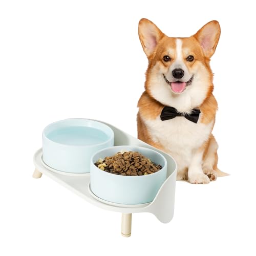 Hundenapf Set Erhöht Hunde Napfset - Doppelnapf Hund Keramik mit Spritzschutz Ständer - Hundenäpfe 2er Set für Futter und Wasser - Futterstation für Kleine und Mittelgroße Hunde - 2 x 650 ml - Blau von PTOBER