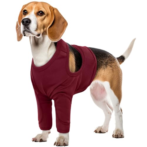 Vorderbeinschutz Hund, Hundebody XL Nach Op Ellenbogenschutz Hund Bein Wunde Schutz Ellenbogenschutz Hund Vorne Ellbogen Bandage Hund XL(Rot, XL) von PUMYPOREITY