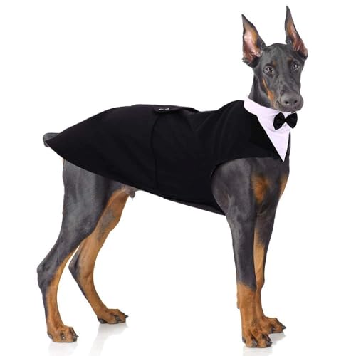 Formaler Smoking für kleine bis große Hunde, Hochzeit Haustier Hund Fliege Anzug Kleid Gentleman Hund Kleidung mit Fliege, Puppy Teddy Chihuahua Party Kostüm Bandana Hemd, 2 Stück Set, L, schwarz von PUMYPOREITY