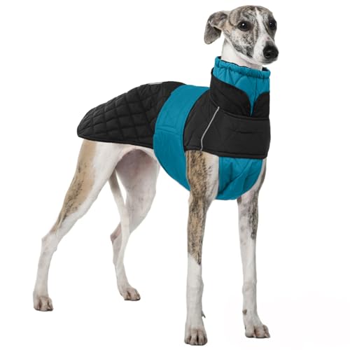 Greyhound Fleecemantel, Salukis Winterjacke Warm Windhund Pullover Hundemantel Windhund Warme Winter Windhund-Jacke(Blau, 2XL) von PUMYPOREITY