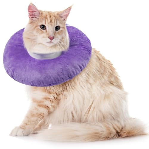 Halskragen Katze, Katzenkragen Leckschutz Weich Katzen Halskrause nach Op Katen Cone Collar Leichtgewicht Schutzkragen für Welpen(Lila, L) von PUMYPOREITY