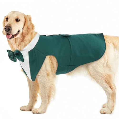 Hunde Smoking Hochzeit, Hochzeitsoutfit Hund Fliege Hochzeit Hunde Anzug für Hochzeit Dog Tuxedo Wedding Smoking Hochzeit(Dunkelgrün, XXL) von PUMYPOREITY