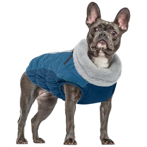 Hunde Wintermäntel, Hundejacke Fleece wasserdichte Kleine Hunde Winterweste Hundepullover Schneeanzug Kleine Hunde Fashion Sports Hundemantel Französische Bulldogge Kleidung(Dunkelgrün, S) von PUMYPOREITY