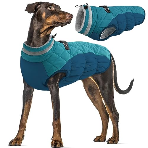 Hundemantel XL, Hundepullover Grosse Hunde Winddichte Hundeschneejacke Hundemantel mit Leine Loch Hundemantel Winter Labrador(Dunkelgrün, XL) von PUMYPOREITY