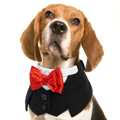 Hundehalsband Hochzeit, Hund Halsband mit Fliege Hund Hochzeit Kleidung Hund Smoking Valentines Outfit Hund Kostüm Geburtstag Anzug Katzen-Smoking(Schwarz, M) von PUMYPOREITY