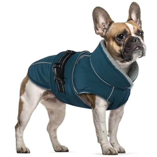 Hundejacke Wasserdicht, Hundemantel Fleece Gefüttert Warme Hundeweste Winterjacke Hunde Bekleidung Winddichter Mäntel mit Reflexstreifen für Winter(Dunkelgrün, M von PUMYPOREITY