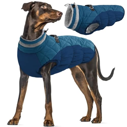 Hundemantel Wasserdicht, Warme Hundejacke Winter Jacke Winddichte Hundeanzug mit Reflektierender Streifen(Dunkelgrün, L) von PUMYPOREITY