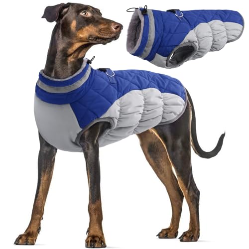 Hundejacken Große Hunde, Hundemantel Wasserdicht Winter Weste Winddicht Hundejacke Warm Fleece Hunde Bekleidung mit Leine Loch(Blau, 2XL) von PUMYPOREITY