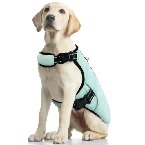 Kühlweste für Große Hunde, Hunde Kühlmantel Einstellbare Kühlung Hund Jacke Saugfähige & kühle Hundeweste für Sport heißes Wetter Sommer Dog Cooling Vest Coat(Grün, XL) von PUMYPOREITY