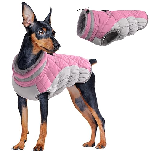 Hundemantel XS, Hundepulli für Kleine Hunde Welpenmantel Hundepullover Hundejacken Winterweste für Kleine Hunde Chihuahua Mantel Warm Hundekleidung für Kaltes Wetter(Rosa, XS) von PUMYPOREITY