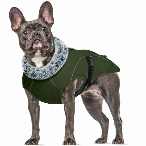 Hunde Wintermantel, Hunde Jacke Winter Hundemantel Fleece Hundepullover Mittelgroße Hunde Winteranzug Schneemantel Hund Pyjama(Armeegrün, M) von PUMYPOREITY