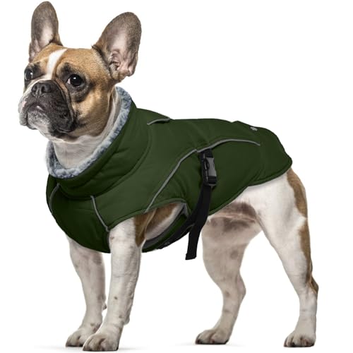 Hundemantel Wasserdicht, Winterjacke Hunde Klein Warm Hundeweste Hundekleidung Winddichte Hundemantel Fleece Rollkragenpullover für Kleine Hunde Schneeanzug(Armeegrün, S) von PUMYPOREITY