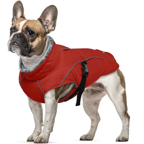 Hundemantel Wasserdicht, Wintermantel für Kleine Hunde Winter Hundejacke Hundeweste Kleine Hunde Warme Kleidung Winter Chihuahua Mantel Französische Bulldogge Mantel(Rot, S) von PUMYPOREITY