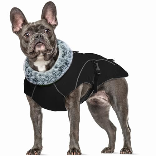 Hundejacke Winter, Winterweste Hund Hundepullover Winter Weste Hundemantel Warm Hundemantel Reflektierend Hunter Hundemantel Hundepulli(Schwarz, M) von PUMYPOREITY