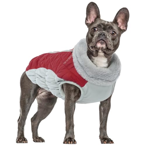 Hundemantel Wasserdicht, Warm Winterjacke für Kleine Hunde Kleidung Winter Weste Jacke Hundepullover Hundemantel mit Bauchschutz Hundekleidung Winter für Kleine Hunde(Rot, S) von PUMYPOREITY