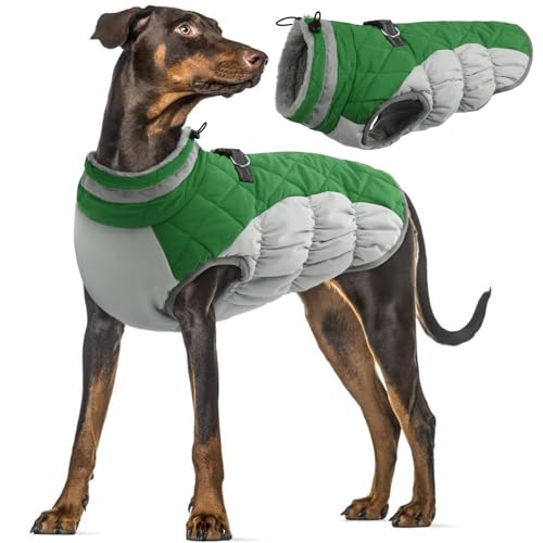 Hundemantel Winter Große Hunde, Hundemantel Warm Hundemantel mit Geschirr Große Hunde Fleecejacke Fashion Sports Hundemantel(Grün, 3XL) von PUMYPOREITY