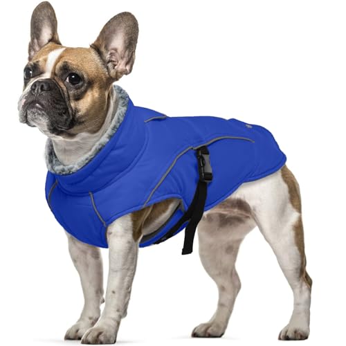 Hundemantel Winter Kleine Hunde, wasserdichte Welpen Warme Jacke Weste Reflektierende Hundejacke Fleece Gefüttert Wintermantel Fleecekragen Winter Hundekleidung Hundemantel Chihuahua Winter(Blau, S) von PUMYPOREITY