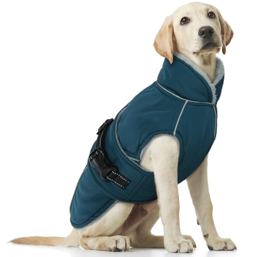 Hundemantel Winter, Wasserdicht Hundejacken Große Hunde Weste Winddicht Hundejacke Warm Fleece Haustier Bekleidung Reflektierend Winterjacken mit Leine Loch(Dunkelgrün, XL) von PUMYPOREITY