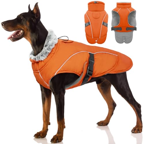 Hundemantel Winter, Wasserdicht Hundejacken Große Hunde Weste Winddicht Hundejacke Warm Fleece Haustier Bekleidung Reflektierend Winterjacken mit Leine Loch(Orange, L) von PUMYPOREITY