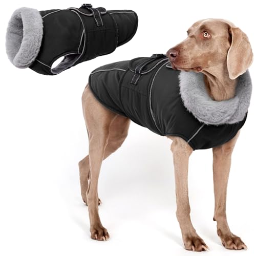 Hundemantel Winter, Wasserdicht Hundejacken Große Hunde Weste Winddicht Hundejacke Warm Fleece Haustier Bekleidung Reflektierend Winterjacken mit Leine Loch(Schwarz, 2XL) von PUMYPOREITY