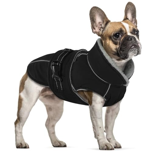 Hundemantel für Kleine Hunde, Wasserdicht Hundejacke Warme Winterjacke Hundepullover Kleine Hunde Welpen Winterweste Hundebekleidung Winterfür Kleine Hunde(Schwarz, S) von PUMYPOREITY