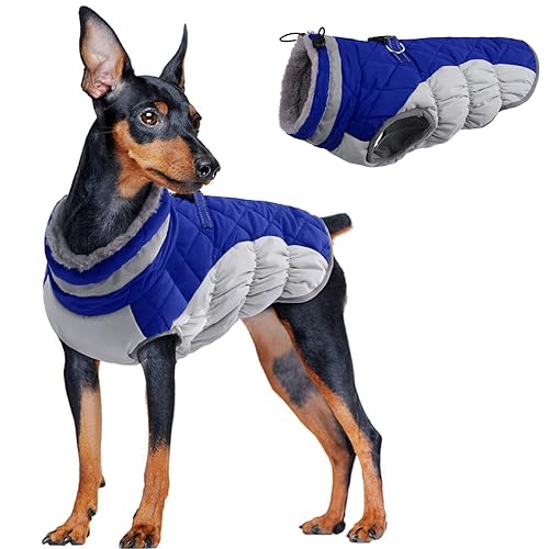 Hundepullover für Kleine Hunde, Hundejacke Wasserdicht Warmer Hundemantel Kleine Hunde Thermomantel Fleece Hunde Warme Winterjacke Rollkragen Winddicht Hunde Bekleidung für Winter Herbst(Blau, S) von PUMYPOREITY