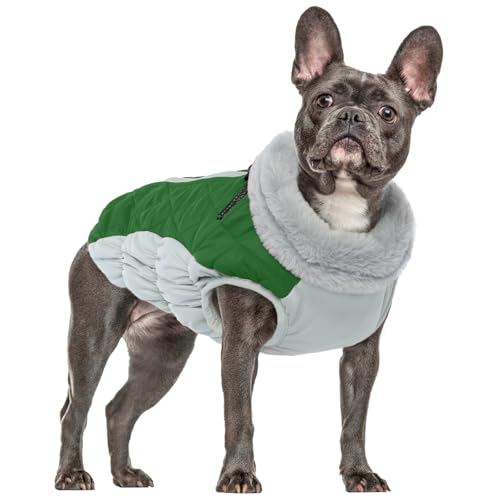 Hundejacke Kleine Hunde, Winterweste Hunde Jacken Outdoor Hundemantel Winterjacke Kleiner Hund Welpenweste Winter Schneeanzug Hunde Chihuahua Kleidung Winter(Grün, XS) von PUMYPOREITY