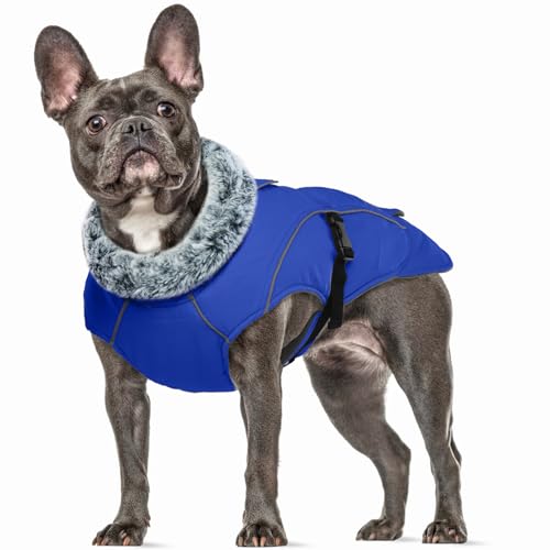 Wintermantel Hund Mittelgroß, Wasserdicht Hundemantel Warme Hundejacke Mittelgroße Hunde Thermo Hundemantel(Blau, M) von PUMYPOREITY