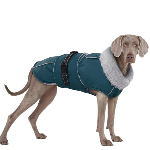 Hundemantel Winter, wasserdichte Welpen Warme Jacke Weste Reflektierende Hundejacke Fleece Gefüttert Wintermantel mit Fleecekragen Winter Hundekleidung(Dunkelgrün, 2XL) von PUMYPOREITY