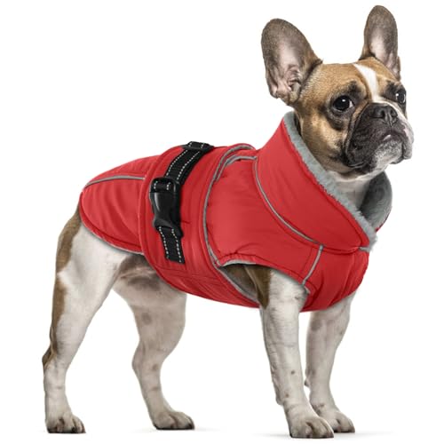 Hundemantel für Kleine Hunde, Wasserdicht Hundejacke Warme Winterjacke Hundepullover Kleine Hunde Welpen Winterweste Hundebekleidung Winterfür Kleine Hunde(Rot, S) von PUMYPOREITY