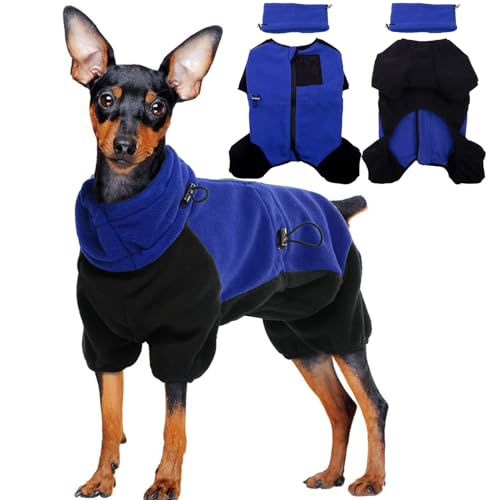 Hundemantel Winter Kleine Hunde, Hundejacke Winter Kleine Hunde Hundemantel Jack Russel Hundemantel Fashion Sports Hundejacke Chihuahua(Blau, S) von PUMYPOREITY