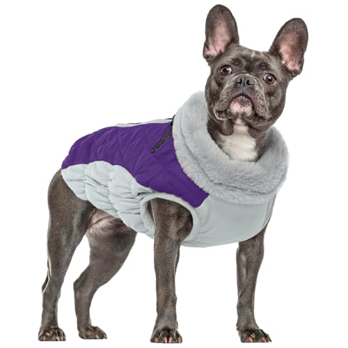 Wintermantel Hund Klein, Winter Warme Hundejacke Winddichter Anti-Schneeanzug Hundebekleidung Winter Outfit für Kleine Hunde Hundejacke Französische Bulldogge(Lila, S) von PUMYPOREITY