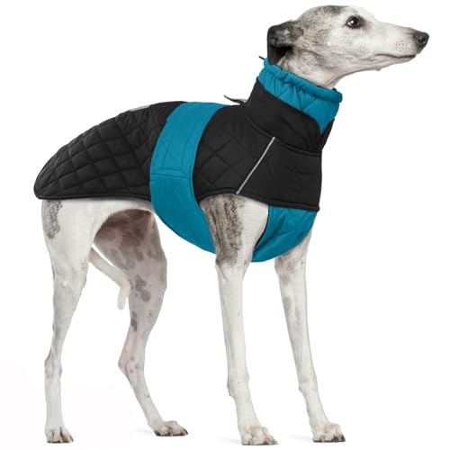 Lurcher-Mantel, Windhund Winterjacke Salukis Mantel Jacke Fleecepullover Windhund Outdoor Hundemantel mit Warmem Fleecefutter(Blau, L) von PUMYPOREITY