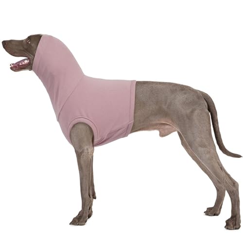 Ohrenschutz Hund, Ohrenschutz Hund Blutohr Lärmschutz Hund Hundeohrschmerzen Ohrenschutz Hunde für Wunden Hunde Ohrenschutz Silvester Beruhigungsweste für Hunde Body Shirt mit Hals(Lila, 2XL) von PUMYPOREITY