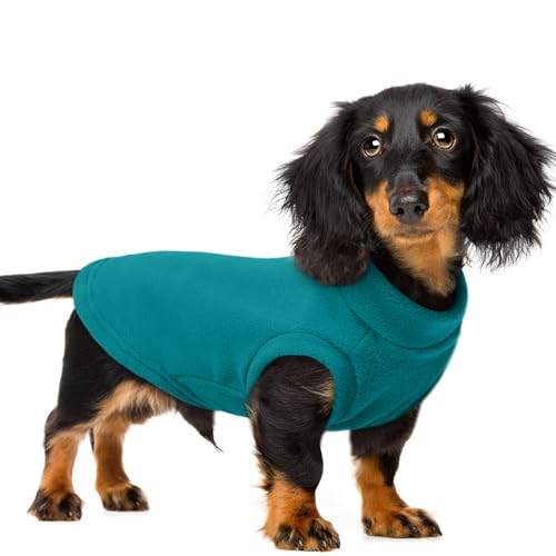 PUMYPOREITY Fleece-Katzenweste, dickes Katzenhemd für den Winter, Katzenkleidung für kaltes Wetter, weicher Katzen-Wintermantel, Katzenpullover nur für Katzen, Blau, 3XL von PUMYPOREITY