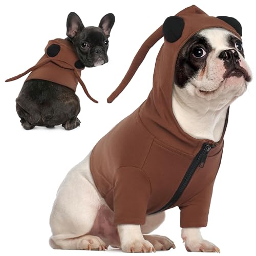 PUMYPOREITY Hundekostüm, Kakerlaken-Design, für Halloween, Größe M, Braun von PUMYPOREITY