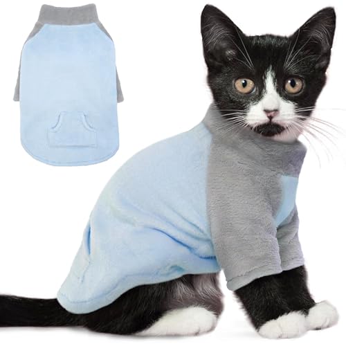 PUMYPOREITY Pullover für Sphynx Katze, weiche Korallen-Fleece-Katzenkleidung, Blau, Größe S von PUMYPOREITY