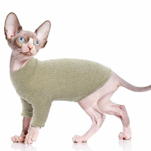 PUMYPOREITY Katze Baumwolle Kleidung, Pulli Warm für Sphynx Haarlose Katze Weste Shirts Kätzchen Weiche Jumper Katzenkostüm Mantel für Kleine/Mittlere/Große Katzen(Grün, XXL) PUMYPOREITY Katze Baumwolle Kleidung, Pulli Warm für Sphynx Haarlose Katze Weste Shirts Kätzchen Weiche Jumper Katzenkostüm Mantel für Kleine/Mittlere/Große Katzen(Grün, XXL) von PUMYPOREITY