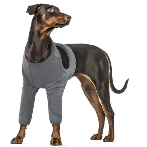 XXL Hundebody Nach Op, Ellenbogenbandage Medical Shirt Hund Wundschutzanzüge für Große Hunde Dog Recovery Suit(Grau, 2XL) von PUMYPOREITY