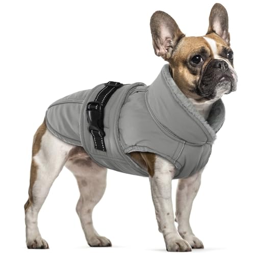 Hundejacke Kleine Hunde, Wintermantel Fleece für Hunde Hundemantel Wasserdicht Hundejacke Französische Bulldogge Warme Weste Winter Hundekleidung für Hunde(Grau, S) von PUMYPOREITY