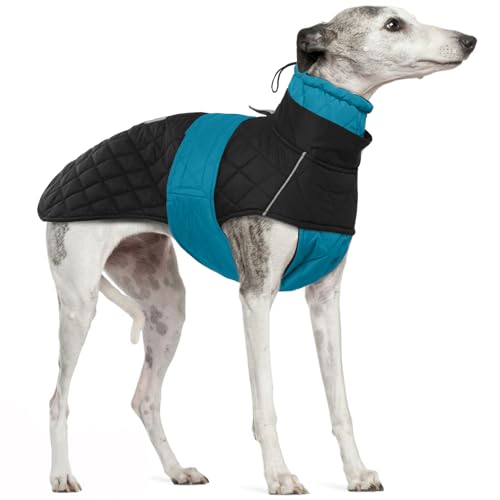 Wasserdichter Windhundmantel, Wasserdichter Winddichter Jacken für Windhund Rollkragenpullover Fleece Windhund Sweater Salukis warm Mantel(Blau, 3XL) von PUMYPOREITY