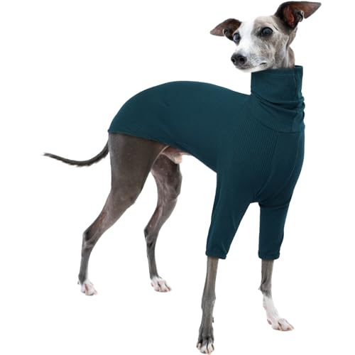 Whippet Pullover, Shirt Whippet Rollkragenpullover Italienischer Windhund Mantel Italienischer Windhund Kleidung Hundepullover Kleine Hunde(Blau, XS) von PUMYPOREITY